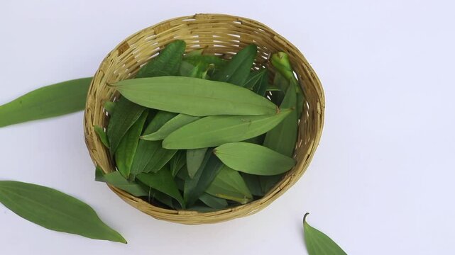 Raw Indian Bay Leaf Falling in a Bamboo Basket Isolated on White Background, Also Known as Tejpatta or Malabar Leaf