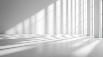 Bright Shadows Dance Across a Minimalistic Space