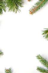 Fresh evergreen branches arranged beautifully on a white background, perfect for seasonal decorations and crafts during winter