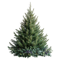 Fototapeta premium Elegant Christmas Tree with Greenery Base Festive Winter Decor