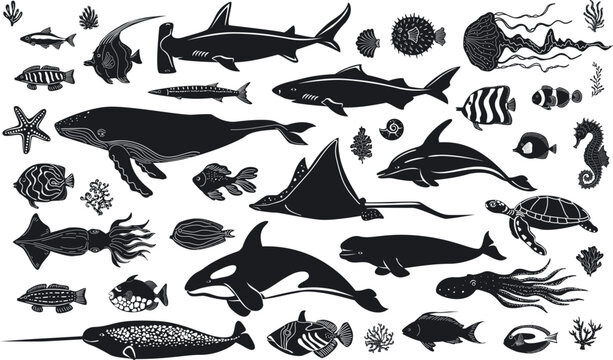 deep sea ocean mammals creatures and fish  marine life nautical vector illustration design  set in black and white
