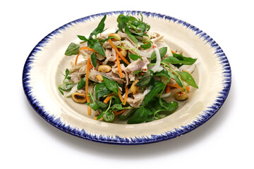 Chicken salad with rau ram, Vietnamese cuisine isolated on white background