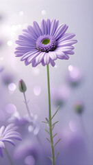 Obraz premium Minimalist Daisy Photography with Bokeh Effect