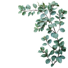 Green Leaf Branches Spring Nature Background Greenery Decor