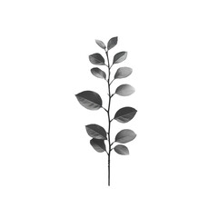 Monochrome Plant Branch Leaf Nature Minimalist Botanical Still Life Photography
