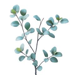 Serene Eucalyptus Branch Green Leaves Nature Photography Minimalist Botanical