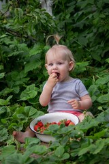 little girl eating strawberries in the garden.