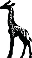 Giraffe silhouette. Giraffe black icon on white background