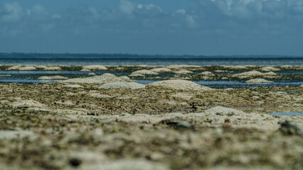 many small sand mountains appear when the sea water recedes