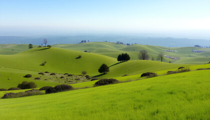 Obraz premium Wide views of hills covered with fresh emerald green grass