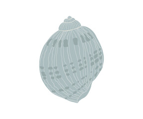 The shell is drawn in a flat style. Sea, coast, beach. Hand drawn vector illustration.