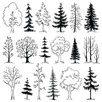 vector image showcases a collection of hand-drawn tree silhouettes. Created with simple black lines on a white background, the trees are drawn in a hand-drawn style, giving them a natural