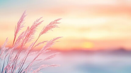 Blurred abstract background idea. Soft pastel hues in the sunset illuminate delicate grass blades by the water's edge.