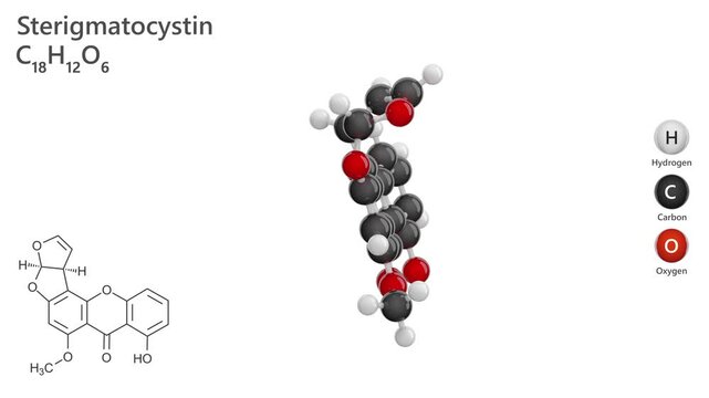 Sterigmatocystin. Polyketide mycotoxin. Animated 3D model of a molecule. Molecular formula: C18H12O6. Chemical model: Ball and stick. White background. 3D rendering.