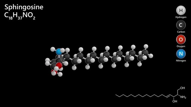 Sphingosine. Amino alcohol. Animated 3D model of a molecule. Molecular formula: C18H37NO2. Chemical model: Ball and stick. Black background. 3D rendering. Seamless loop.