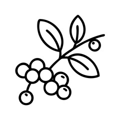 wild berries icon, wild berries line art - simple line art of wild berries, perfect for wild berries logos and icons and themed design