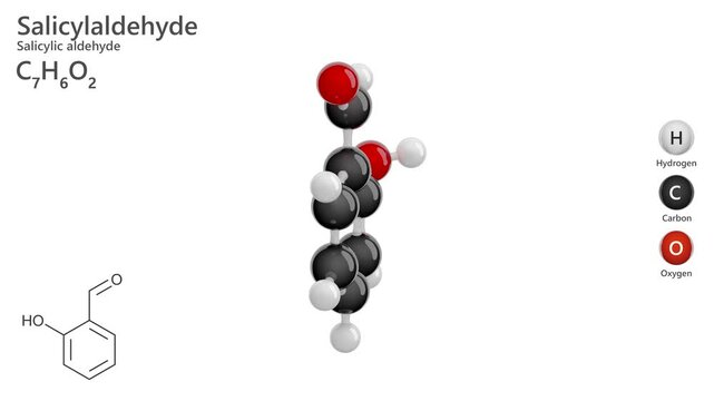Salicylaldehyde. Organic compound. Animated 3D model of a molecule. Molecular formula: C7H6O2. Chemical model: Ball and stick. White background. 3D rendering. Seamless loop.