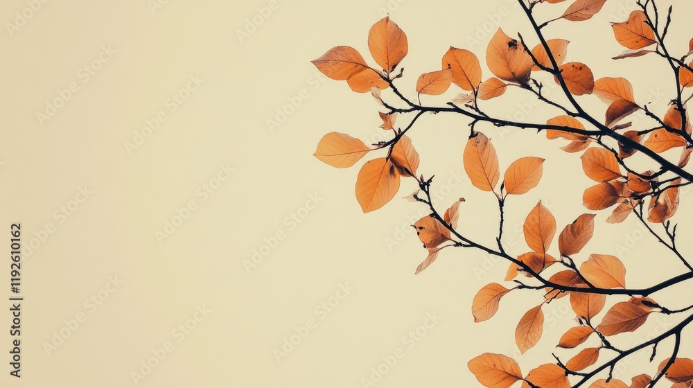 Aufkleber Autumn branches with vibrant orange leaves against a soft background providing ample space for text or additional design elements