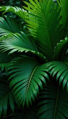 Deep emerald palm fronds, rich shadows, dense tropical garden setting , exotic plants, leaves