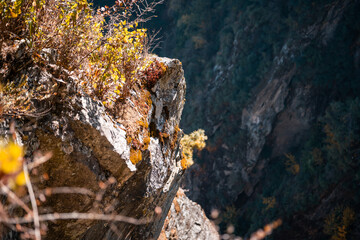 A dramatic cliff edge in Yunnan, China, showcasing rugged rock formations and autumnal foliage clinging to the precipice.  The Dali region's unique landscape is visible in the deep shadows of the vall