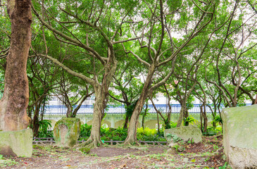 Fototapeta premium Daytime view of the garden of Chiang Kai-shek Memorial Hall