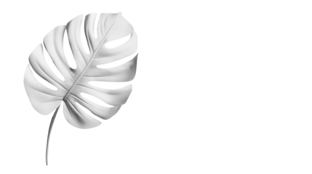 Elegant Monochrome Monstera Leaf Print - Powered by Adobe