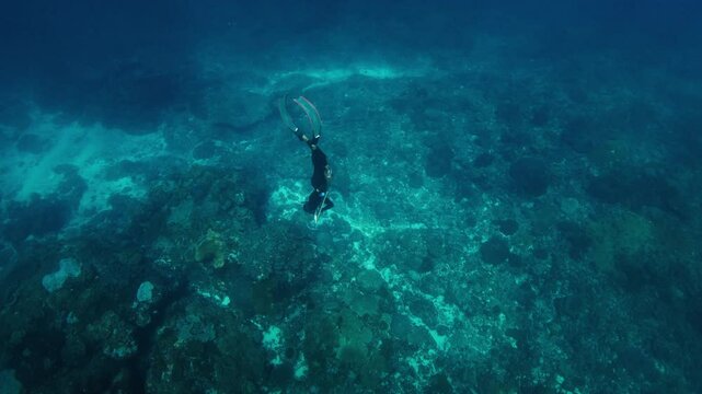 Sea spearfishing. Man swims underwater with speargun and explores the reef. Underwater view of the freediver hunting with speargun