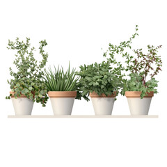 Fototapeta premium Potted Plants on a White Shelf: A Fresh and Vibrant Home Decor