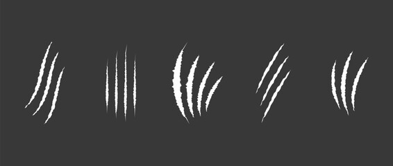 Cat scratch. Set of white bloody animal claw marks isolated on black background. Bear or tiger claws trails. Flat vector illustration.