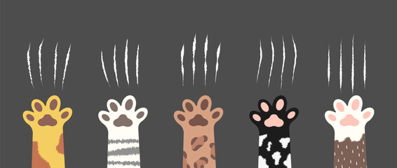 Cat scratch. Set of claws scratches, pets or wild animal nails rip isolated on dark background. Lion or tiger flat scratch marks. Cartoon cat foot print. Vector illustration.