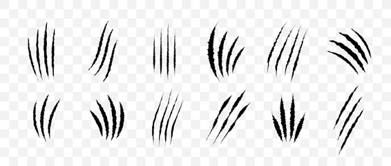 Cat scratch. Black claw scratches set isolated on transparent background. Dragon, bear or tiger claw marks. Halloween monster paw scratch trace on surface. Flat vector illustration.