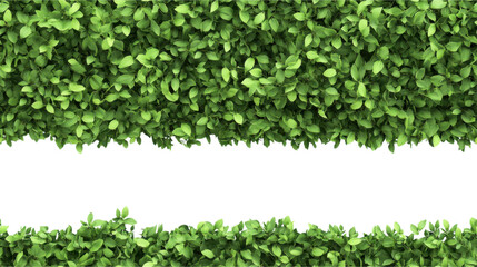Obraz premium Fresh Green Foliage Border Pattern