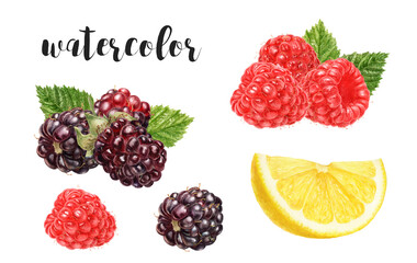 Hand-Painted Watercolor Lemon, Boysenberry, and Raspberry Botanical Illustration Isolated on White