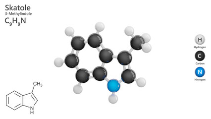 Molecule: Skatole or Scatole. Fragrance. Molecular structure. Formula: C9H9N. Chemical model: Ball and stick. White background. 3D illustration.