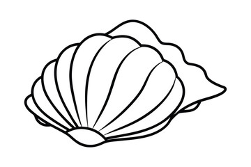 Sea shell line art illustration2.eps