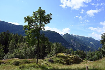 Landschaft bei Finhaut