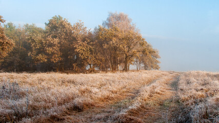 Piękno zimowego krajobrazu w dolinie rzeki Narew, Podlasie, Polska