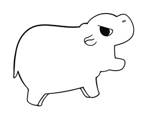 Baby hippo