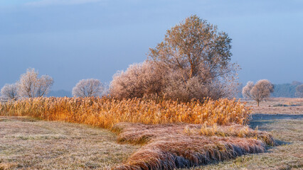 Piękno zimowego krajobrazu w dolinie rzeki Narew, Podlasie, Polska © podlaski49