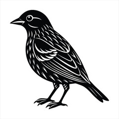 Fototapeta premium bird silhouette vector 