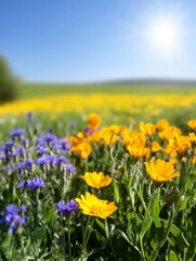 Fototapeta premium Vibrant yellow orange flowers bloom brightly under summer sun. AI Generated