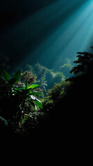 Obraz premium Mobile Phone Wallpaper - Dense jungle with lush green foliage illuminated by bright sun rays.