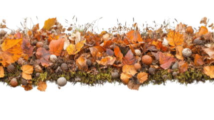 Autumnal Nature's Embrace: A Colorful Fall Display