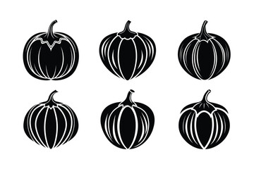 Acorn Squash (Cucurbita pepo) design, labeled silhouette vector illustration