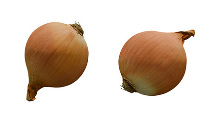 Onion isolated on white
