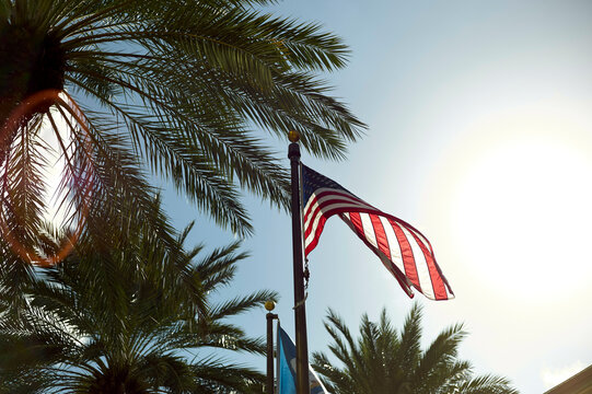 American flag waving against a sunny sky framed by palm tree leaves, New Orleans, USA