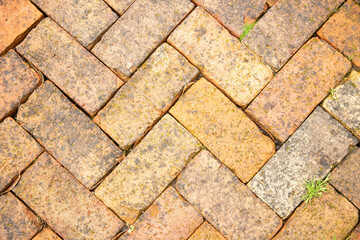 Close-up of an interlocking brick pavement with a herringbone pattern and small green weeds, Auckland, New Zealand