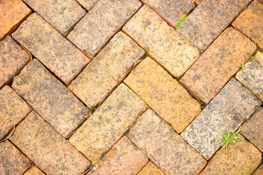 Close-up of an interlocking brick pavement with a herringbone pattern and small green weeds, Auckland, New Zealand