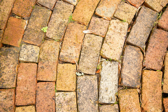 Weathered brick pavement with varying shades of brown and patches of green moss, Auckland, New Zealand
