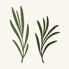 Rosemary branch, flat vector illustration